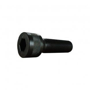 TOR SOCKET ALLEN     1/4"-20 X     3/8"