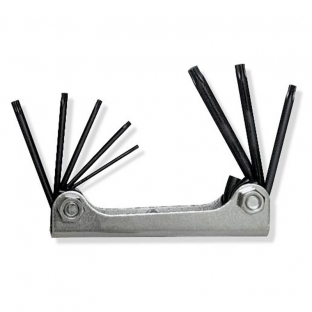 JUEGO SURTEK DE 8 LLAVES TORX TIPO NAVAJA METALICA (ALLFTN8)